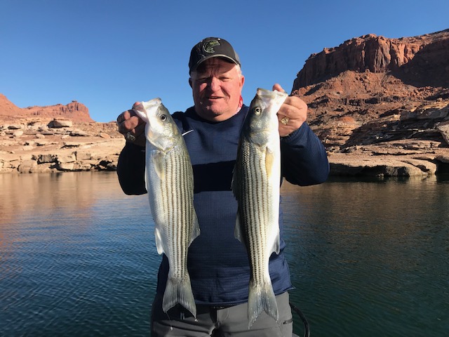 Brent Daybell holds two striped bass caught on Lake Powell in February 2019.