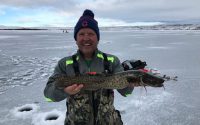 Burbot bash. Jeff Hanson holds a large burbot caught on Flaming Gorge.